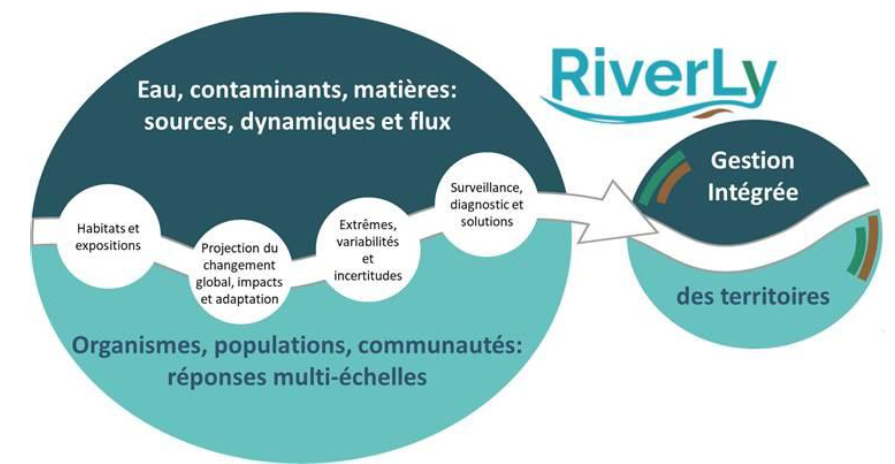 RiverLy-sch